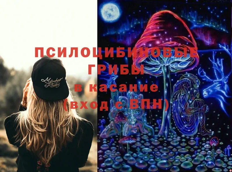 Галлюциногенные грибы Psilocybine cubensis  Киреевск 